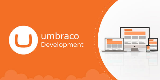 Umbraco CMS Development