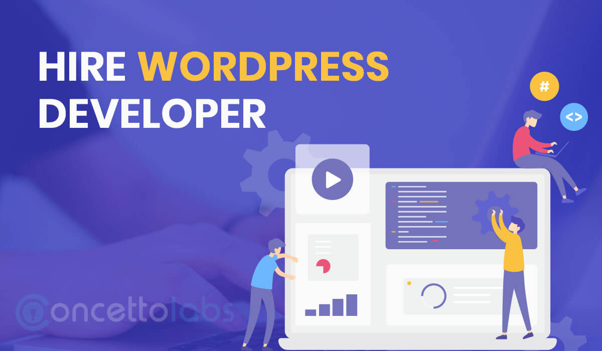 hire wordpress developer