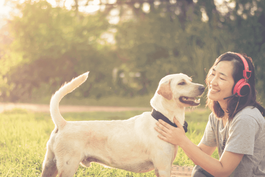 On-Demand Dog Walking Service