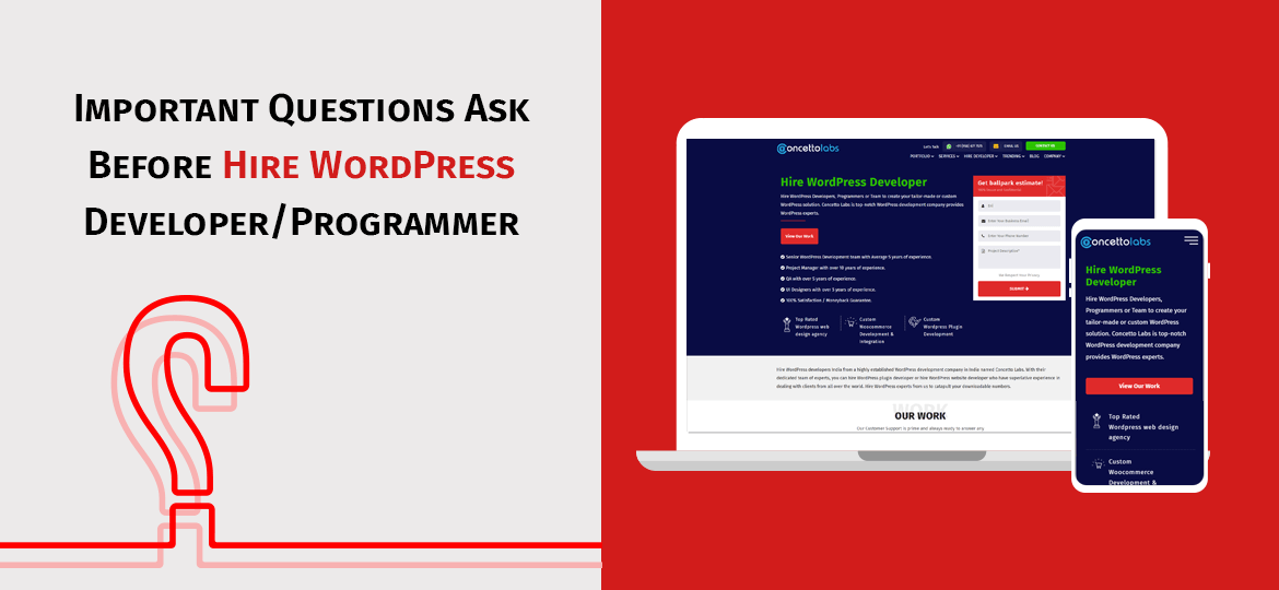 Important Questions Ask Before Hire WordPress Developer/Programmer