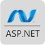 Hire ASP.Net Developers