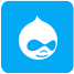 Hire Drupal Developers