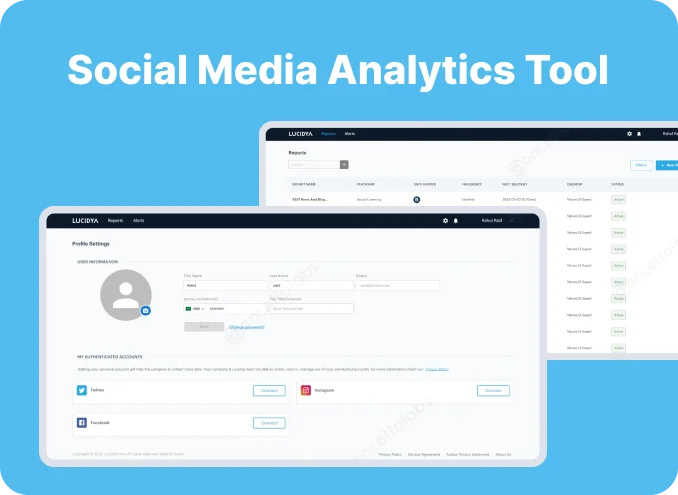 Social Media Analytics Tool